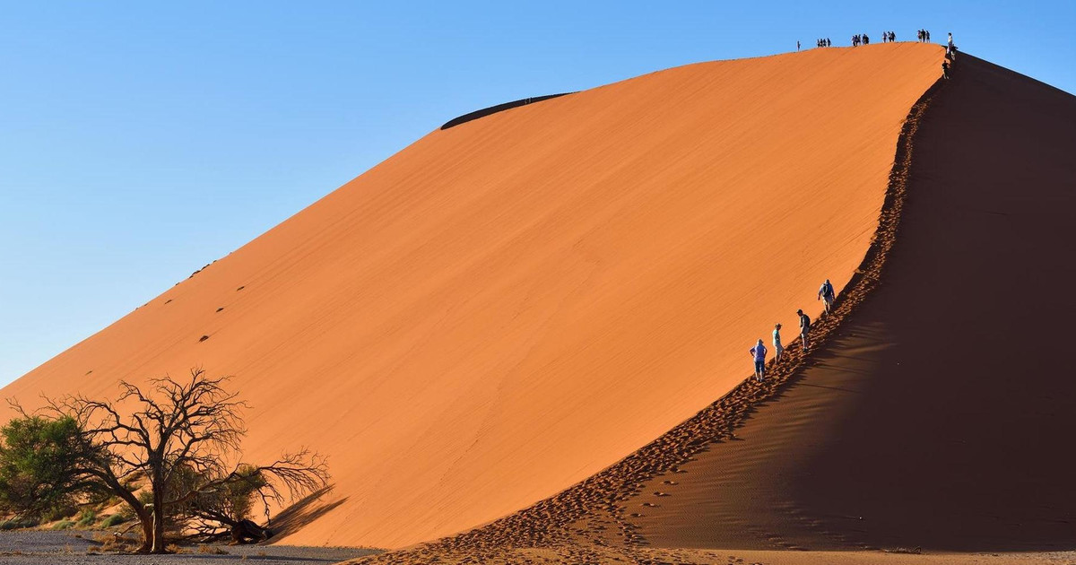 namibia safari holidays tours lodges rhino africa