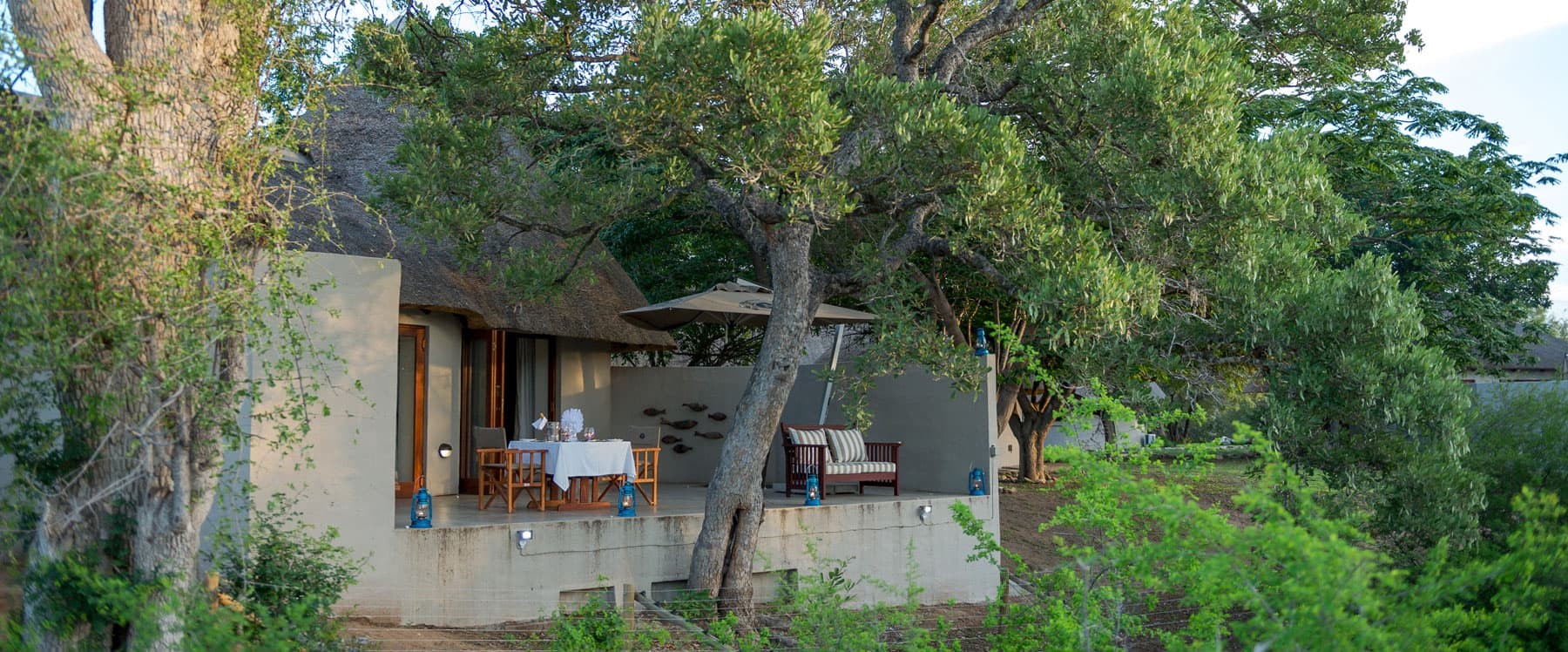 The roof of a private house: the diversity of species The roof of a private house: the diversity of species